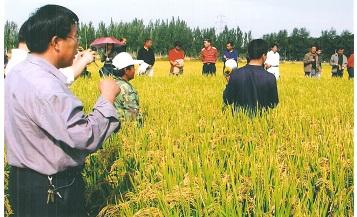 ����ĳũ��ʩ�ð����ʩ���ֳ�����